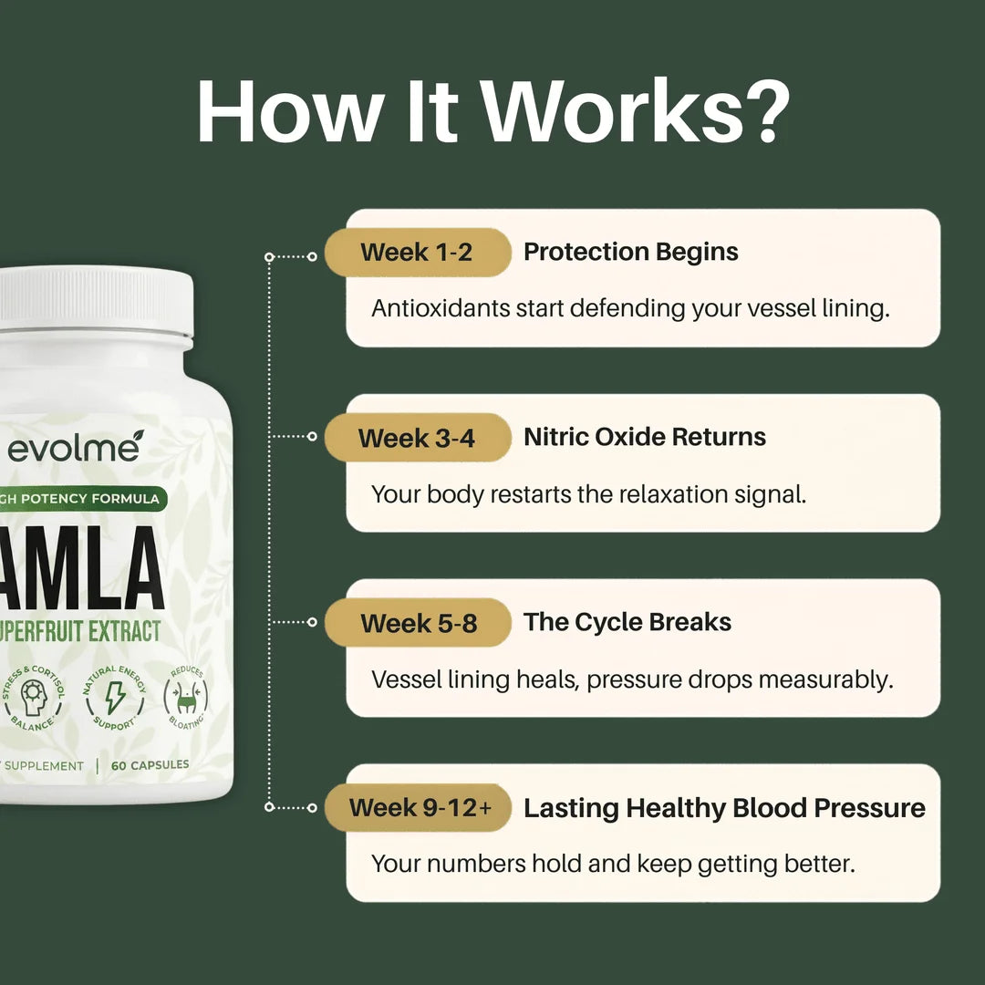 Indian Amla Superfruit Capsules by Evolme